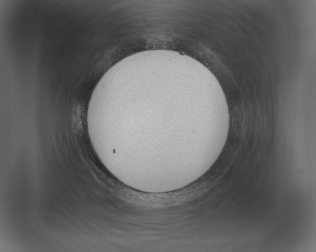 X0000082150038200702092202