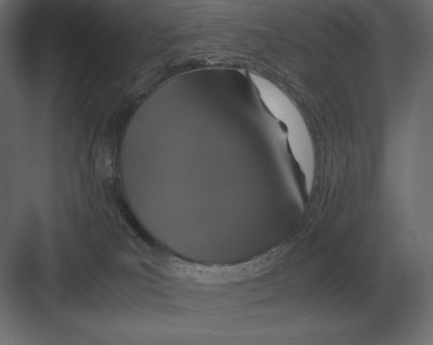 X0000082150039200702092202