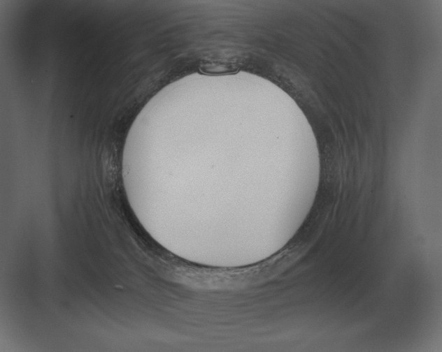 X0000082150040200702092202