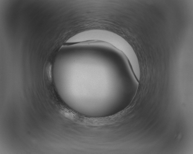 X0000082150041200702092202