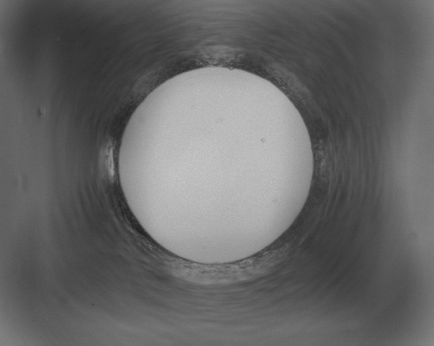 X0000082150042200702092202