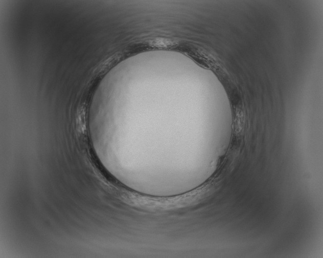 X0000082150043200702092202