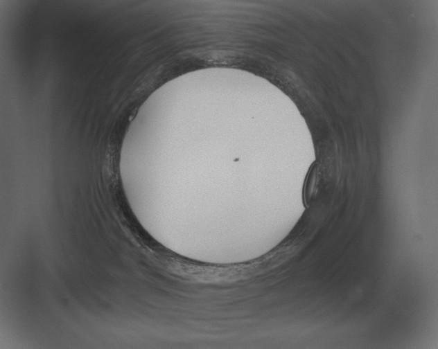 X0000082150044200702092202