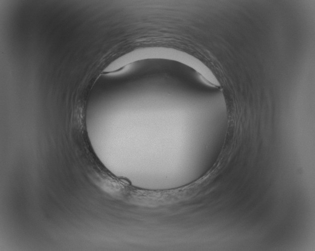 X0000082150045200702092202