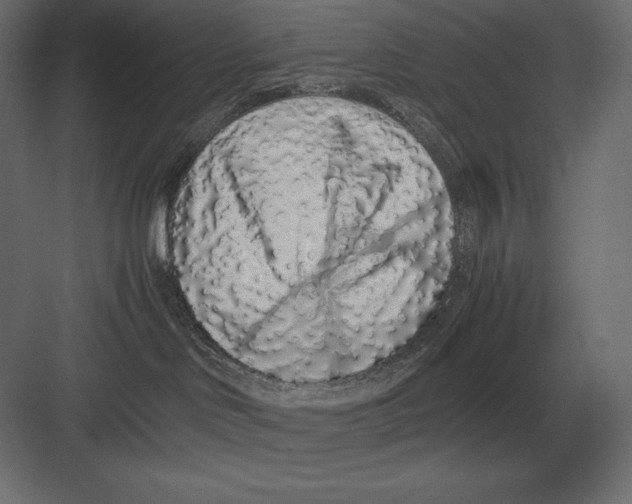 X0000082150046200702092202