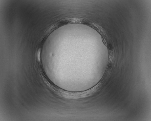 X0000082150047200702092202