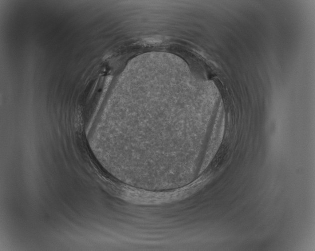 X0000082150048200702092202