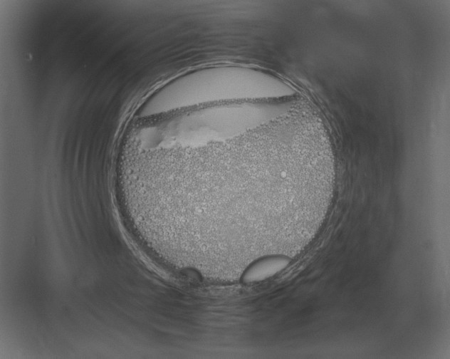 X0000082150049200702092201