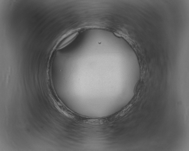 X0000082150050200702092201