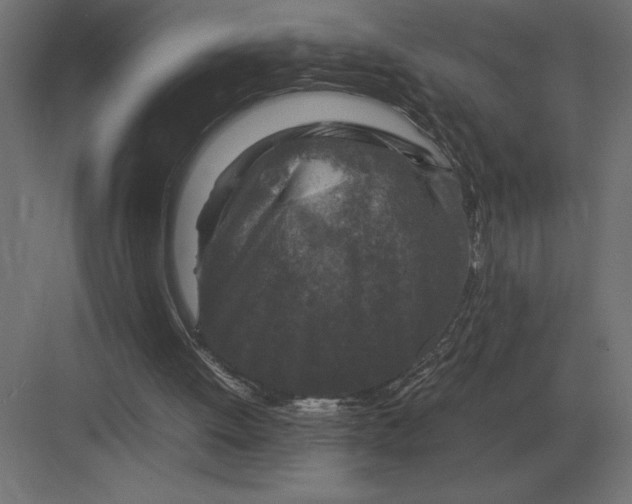 X0000082150052200702092201