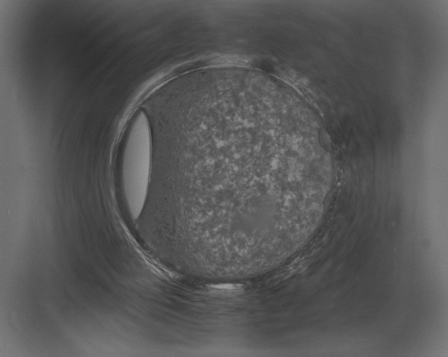 X0000082150053200702092201