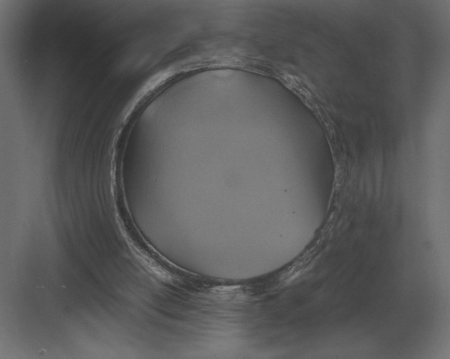 X0000082150054200702092201