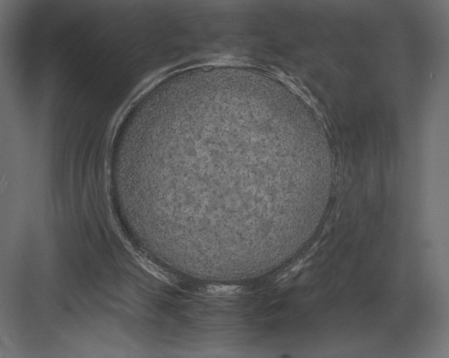 X0000082150055200702092201