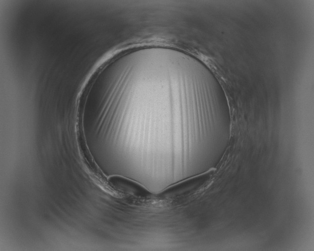 X0000082150056200702092201