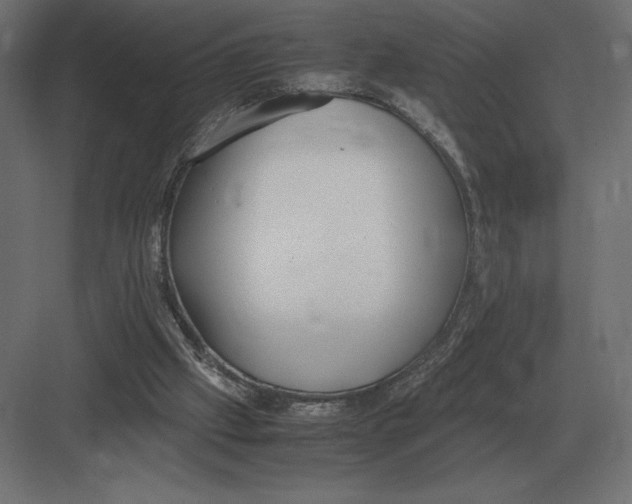 X0000082150057200702092201