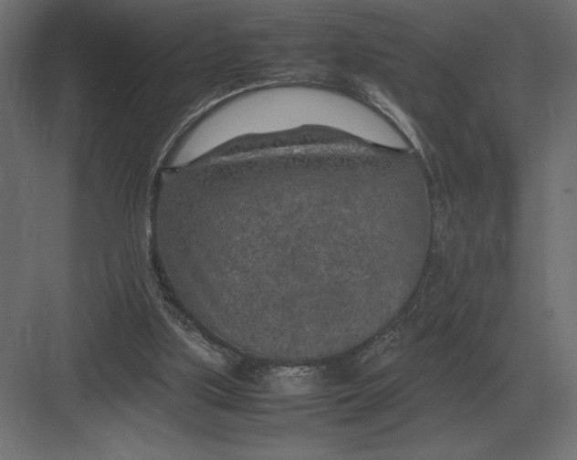 X0000082150059200702092202