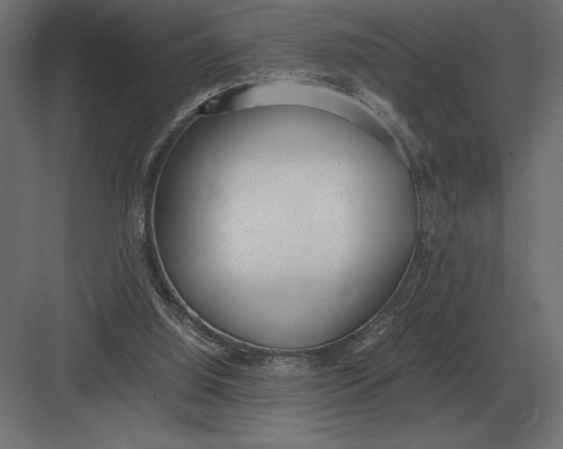 X0000082150060200702092202