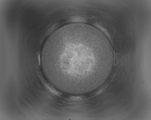 X0000082150061200702092202