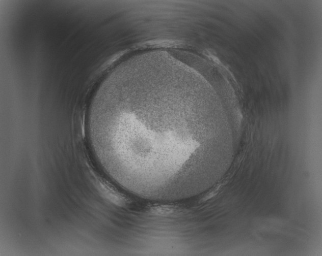 X0000082150062200702092202