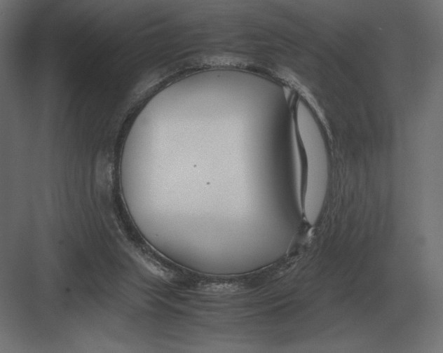 X0000082150063200702092202