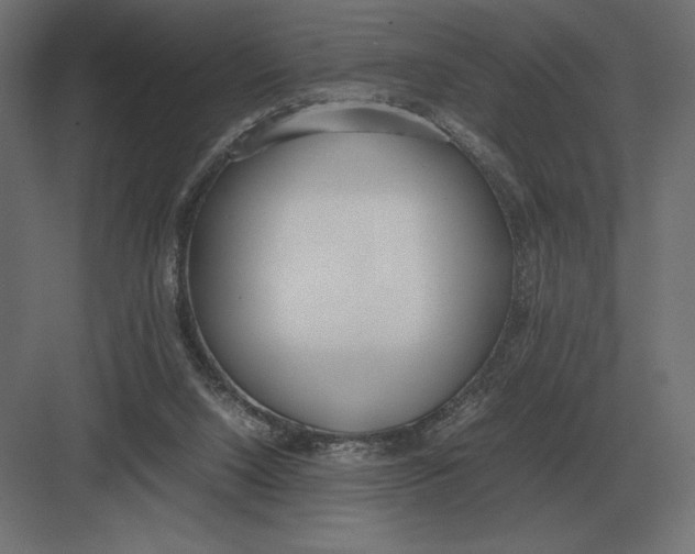 X0000082150064200702092202