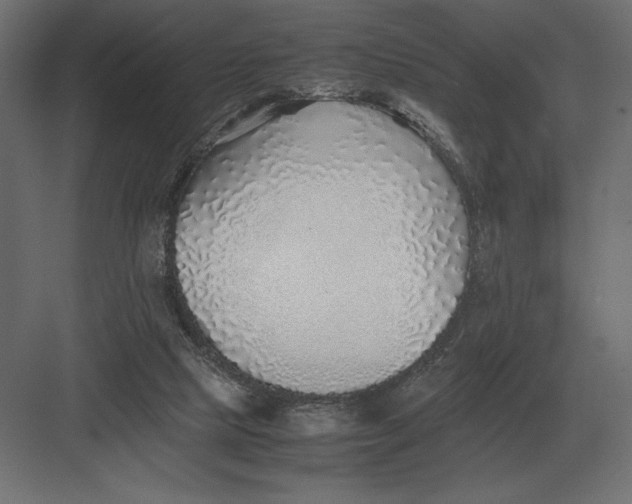 X0000082150065200702092202