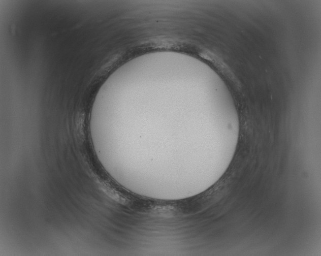 X0000082150066200702092202