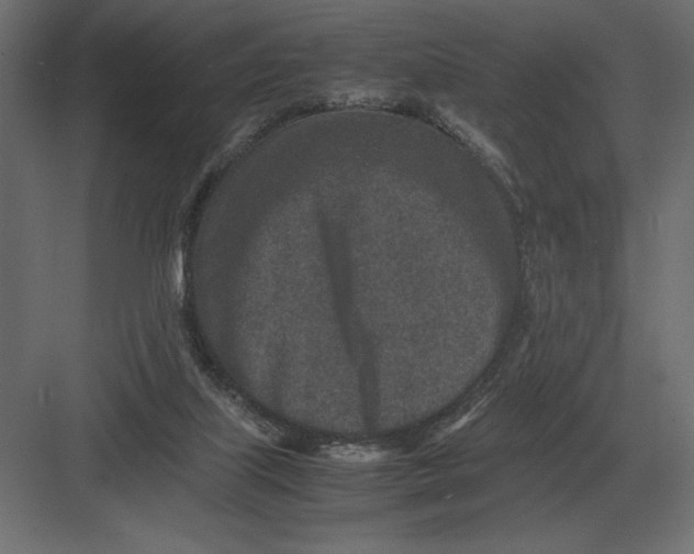 X0000082150067200702092202