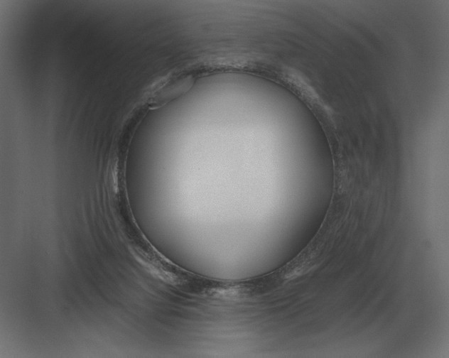 X0000082150068200702092202