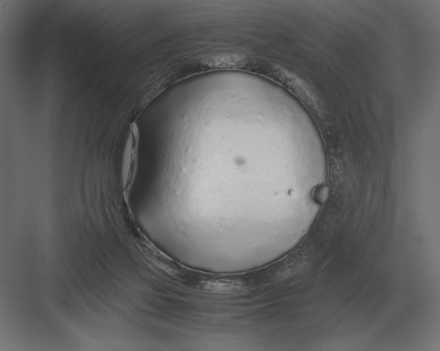 X0000082150069200702092202