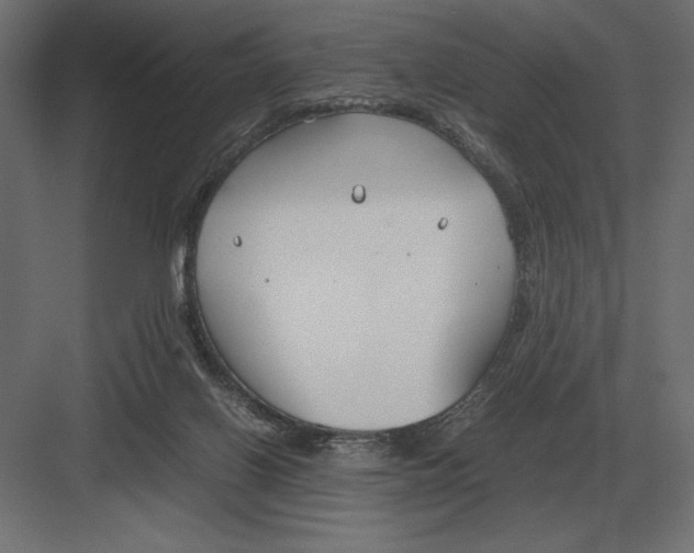 X0000082150070200702092202