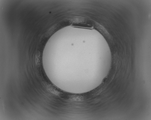 X0000082150073200702092202