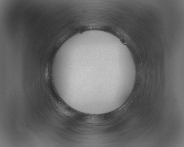 X0000082150074200702092202