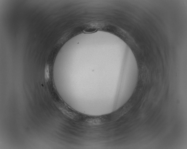 X0000082150075200702092202