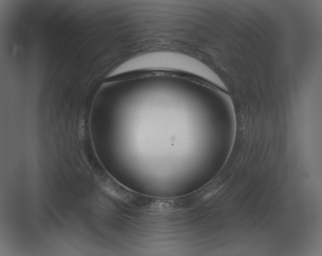 X0000082150080200702092202