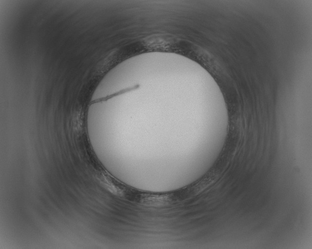 X0000082150081200702092202