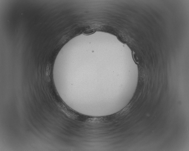 X0000082150082200702092202