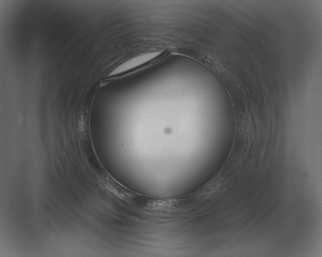 X0000082150084200702092202