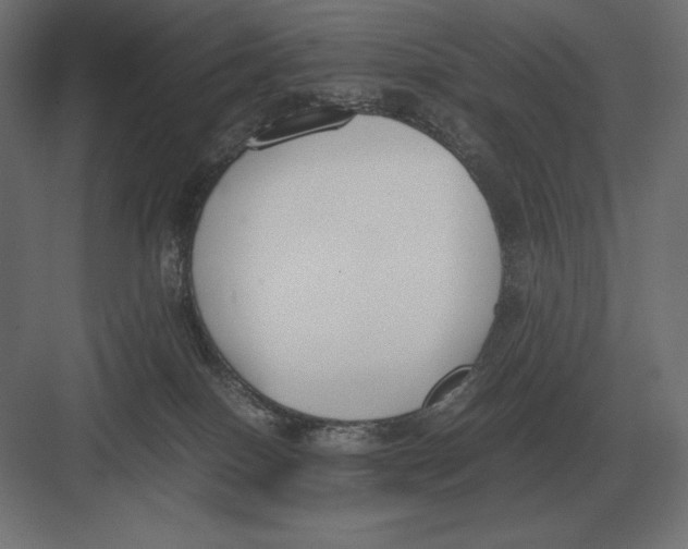 X0000082150086200702092202