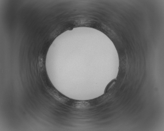 X0000082150087200702092202