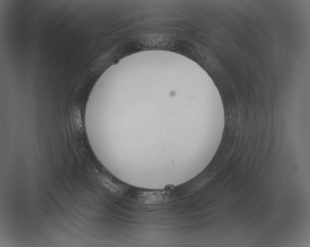 X0000082150089200702092202