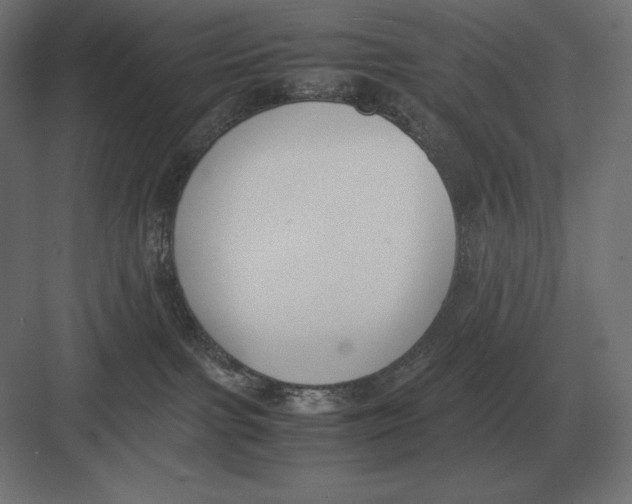 X0000082150091200702092202