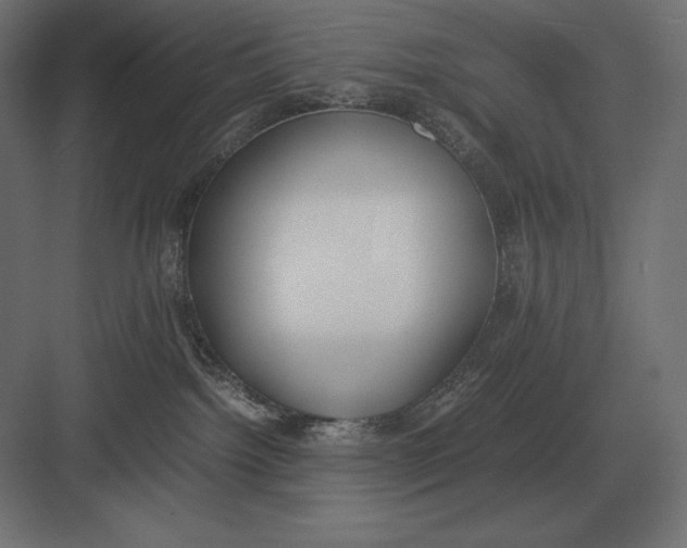 X0000082150092200702092202