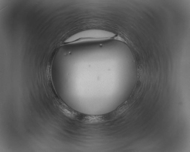 X0000082150093200702092202