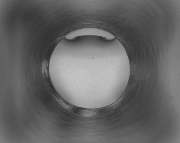 X0000082150094200702092202