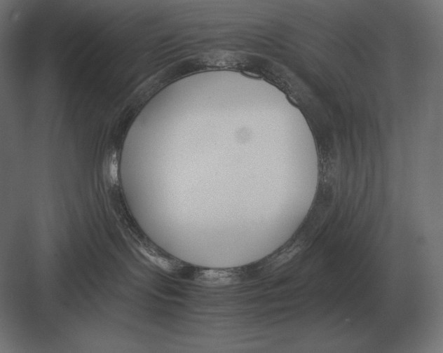 X0000082150095200702092202