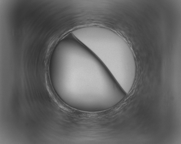 X0000082150097200702092201