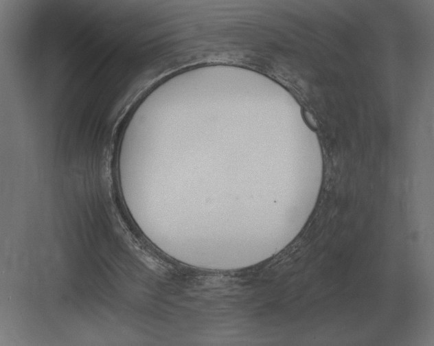 X0000082150098200702092201