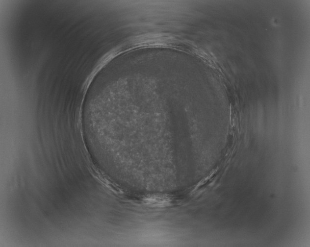 X0000082150099200702092201