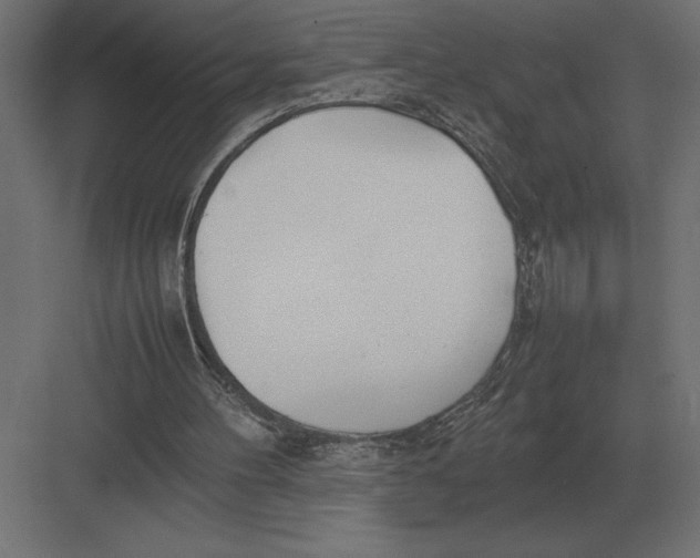 X0000082150100200702092201